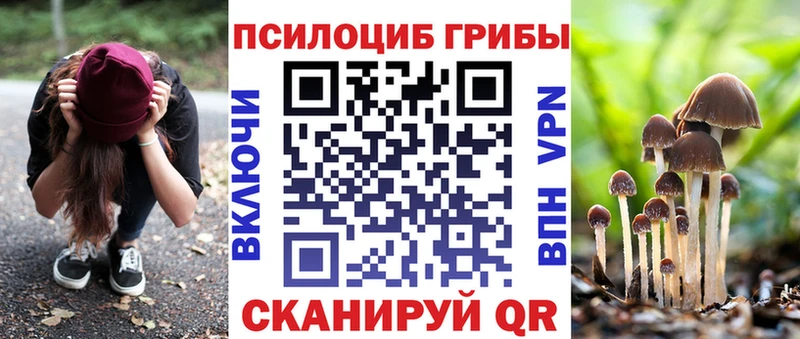 Галлюциногенные грибы Cubensis Бабаево